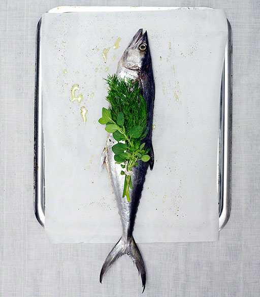 overhead shot of fresh trout on parchment paper, food photo, editorial